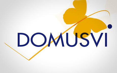 Domusvi