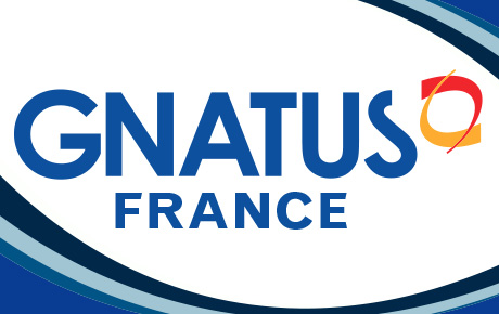 Gnatus